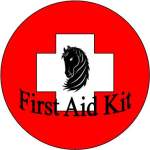 What to Pack in Your Equine First Aid Kit
