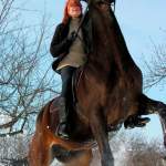 Signs Your Horse May Need Their Teeth Floated