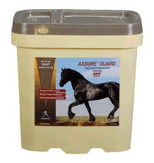 Supplement Supporting Equine Gut Health