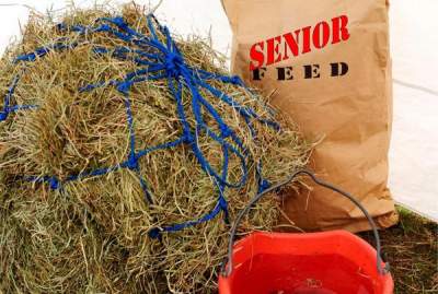 When Is It Time To Switch Your Horse To Senior Feed?