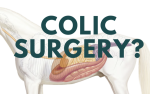colic surgery