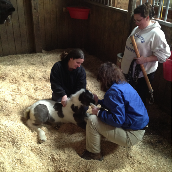 Dr. Hoover with foal