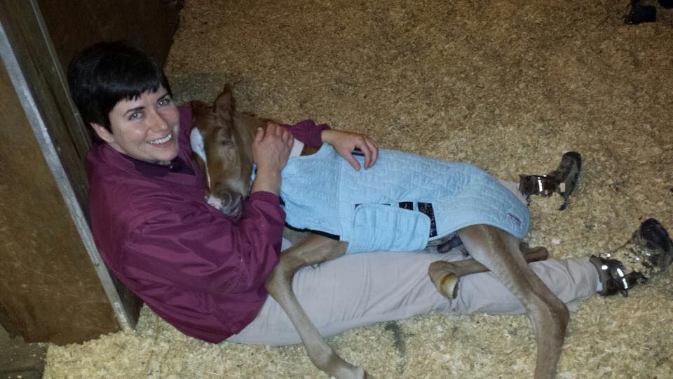 Dr Dawn Mrad and Foal