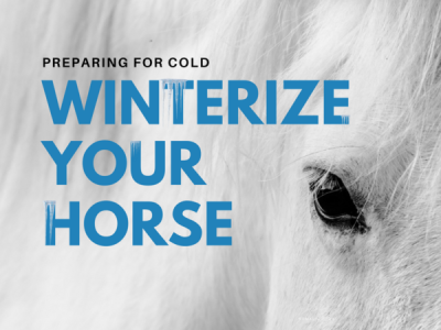 winterizing your horses