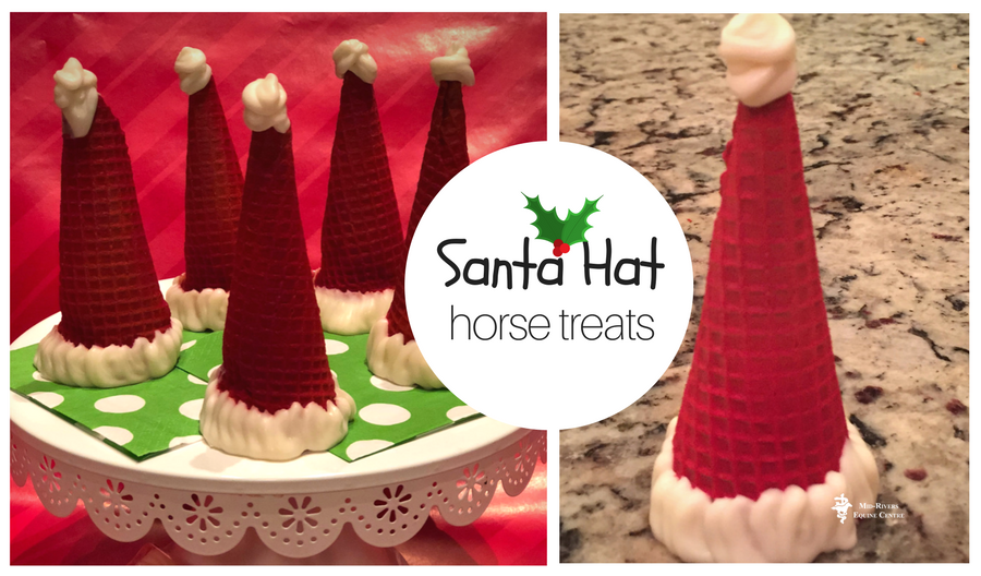 DIY Homemade Horse Treats