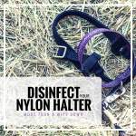 halter bacteria, how to disinfect