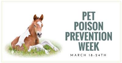 Equine Poison Prevention Week