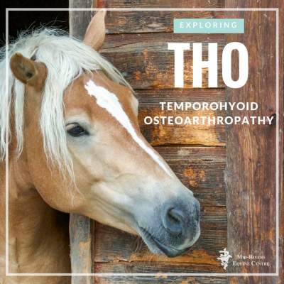 THO (Temporohyoid Osteoarthropathy), or inner ear disease