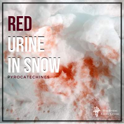 Red urine in snow