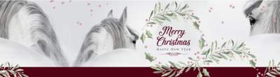 Merry Christmas From Mid-Rivers Equine Centre