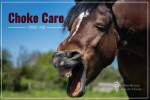 What to do when your horse chokes.