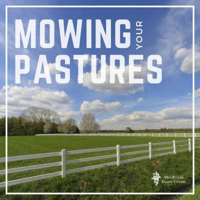 Benefits of mowing pastures to horses