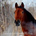 cold air health impact