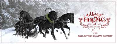 Merry Christmas Mid Rivers Equine Centre