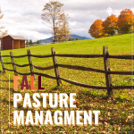 Fall Pasture Managment