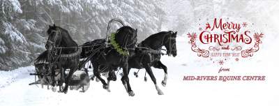 Merry Christmas from Mid Rivers Equine Centre 2020