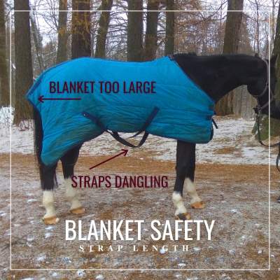 MREC Horse Blanket Safety 2