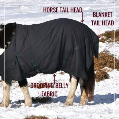 Horse Blanket Safety