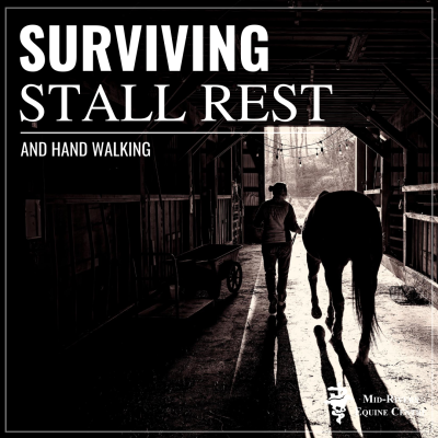 Tips To Survive Stall Rest