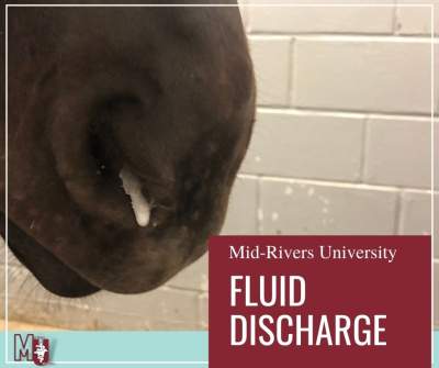 Fluid Discharge