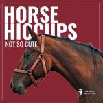Horse Hiccups (Thumps) Explained