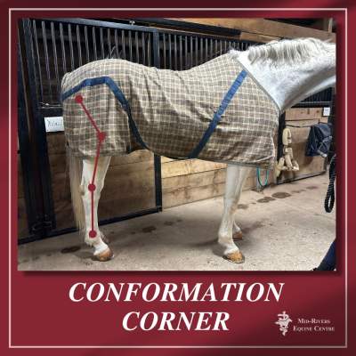 MREC Confirmation Corner Post Legged Horse