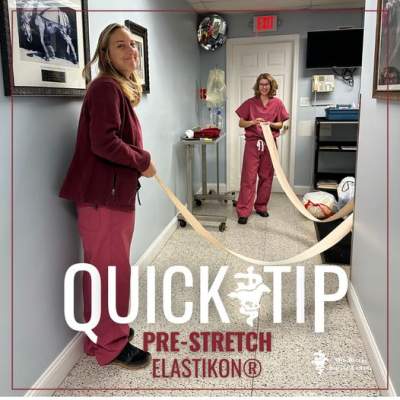 Quick Tip Stretch Elastikon Horse