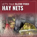 Slow Feed Hay Nets The Pros and Cons | Mid-Rivers Equine Centre | Horse Hospital | Missouri