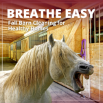 Fall Barn Cleaning Tips for Healthy Horses