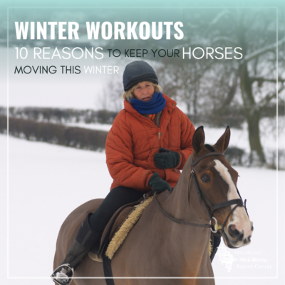 Winter Workouts: 8 Reasons to Keep Your Horse Moving This Winter