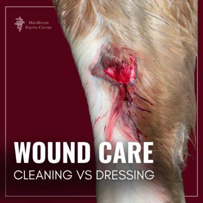 MId-Rivers Equine Centre Wound Care